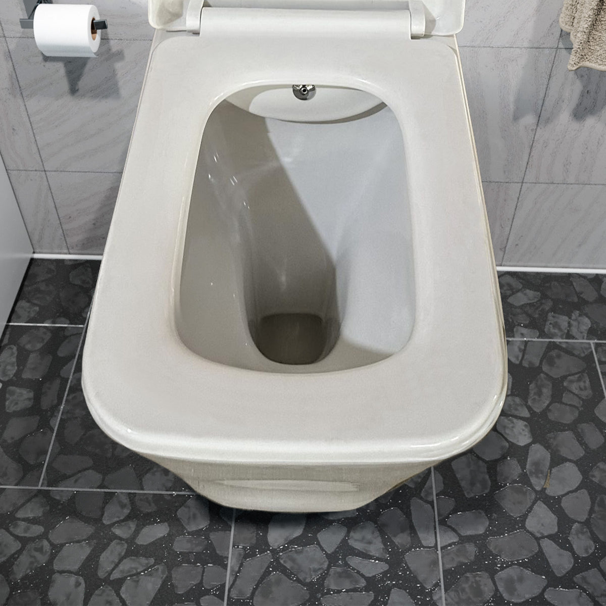 Square Rimless Back To Wall Toilet With Integrate Hot Cold Bidet Valve