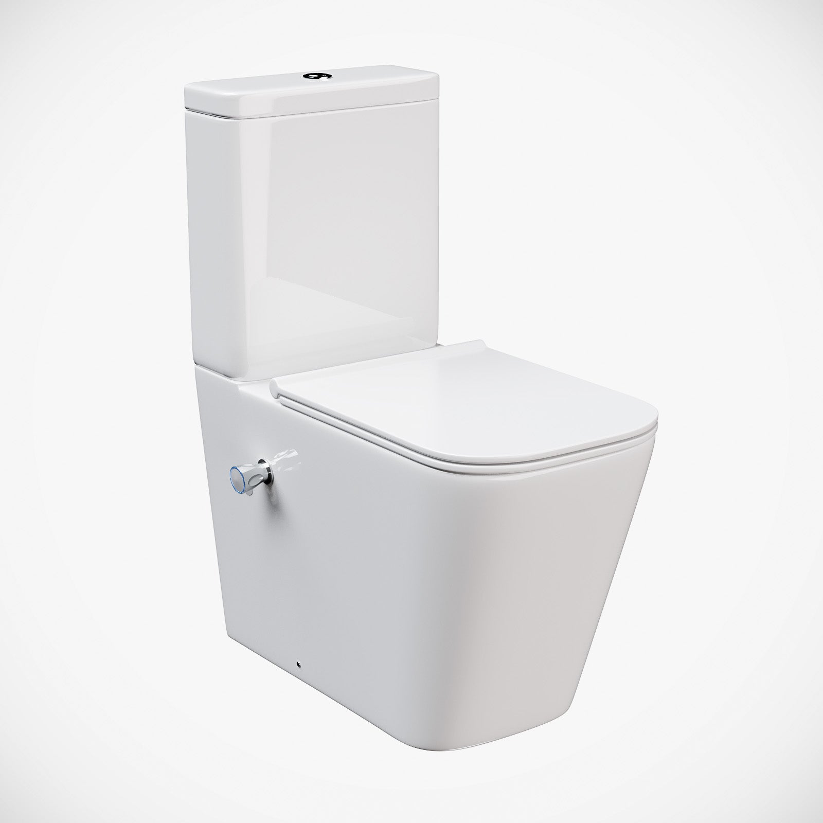 Comfort Height Rimless Close Coupled Toilet With Integrated Bidet Valve