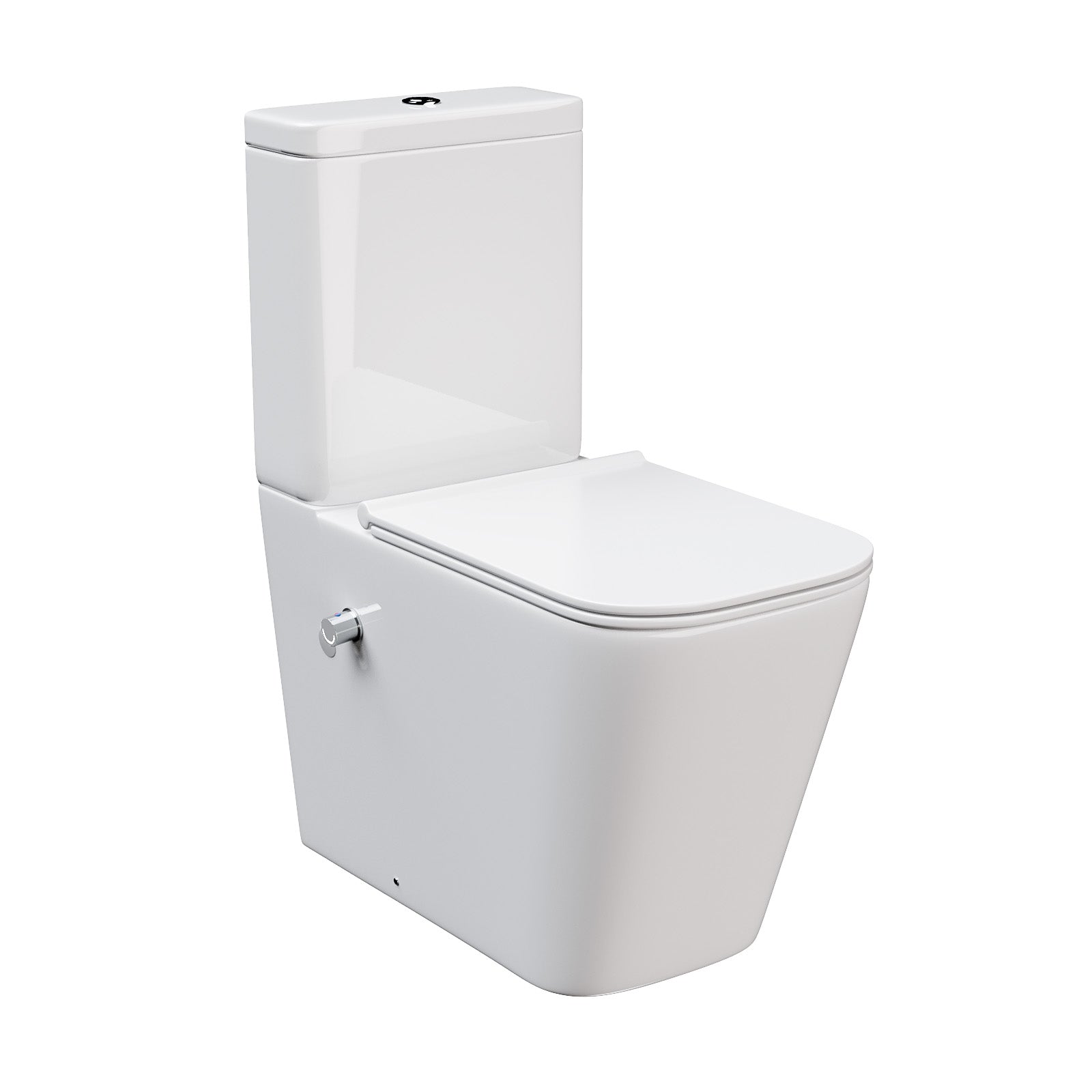 Comfort Height Close Coupled Toilet Pan With Integrated Hot Cold Bidet Valve set