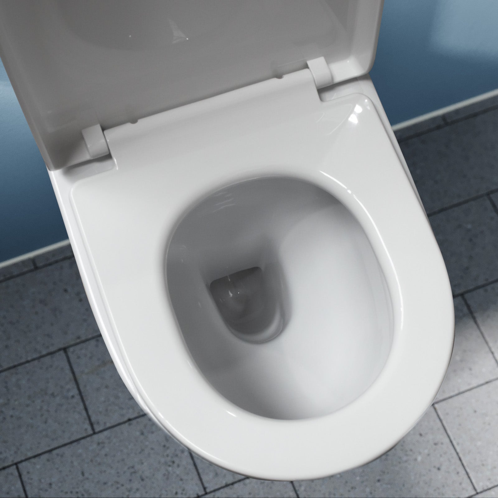 Theo Contemporary Round Rimless Close Coupled Toilet With Soft Close Seat
