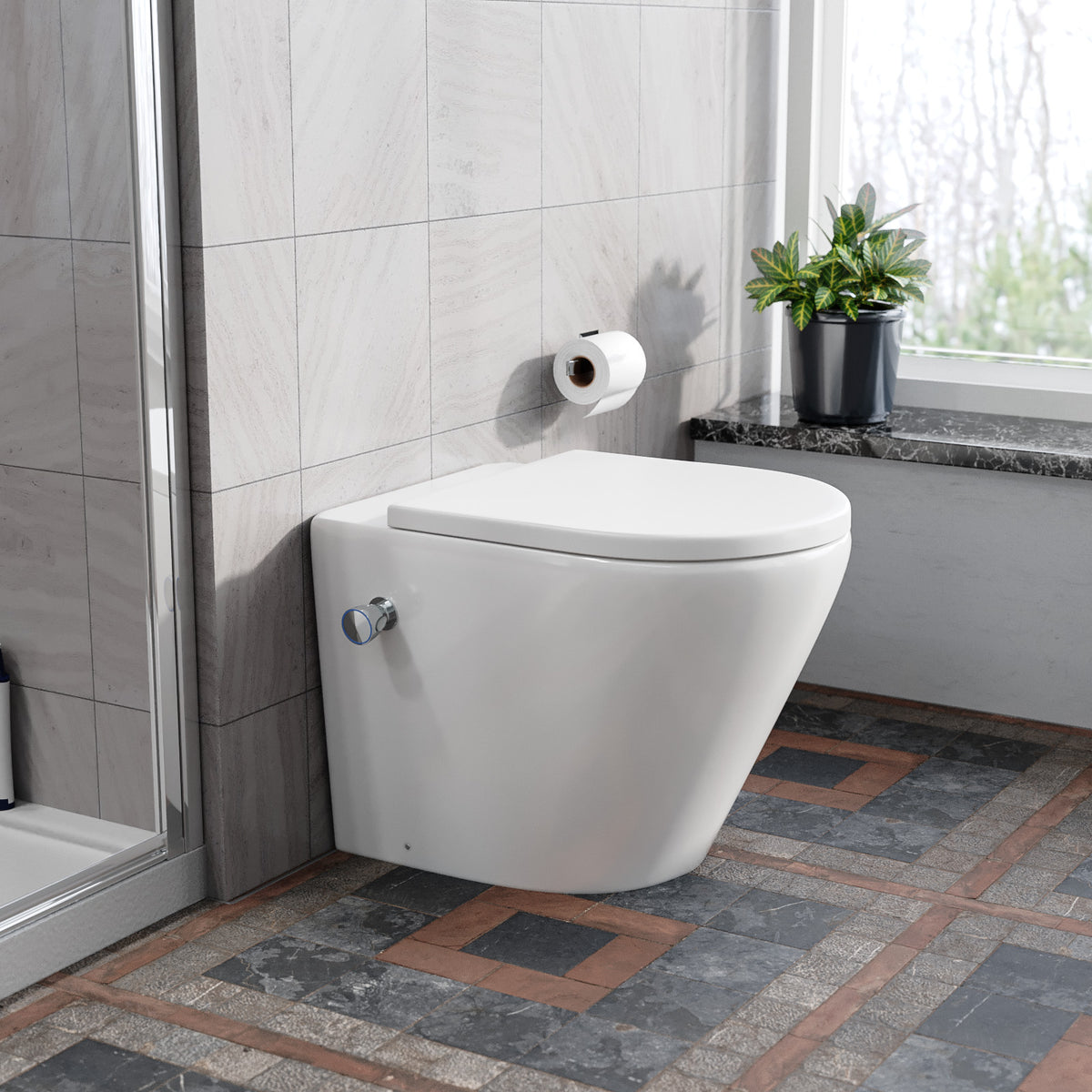 Rimless D Shaped Back To Wall Toilet With Integrated Bidet