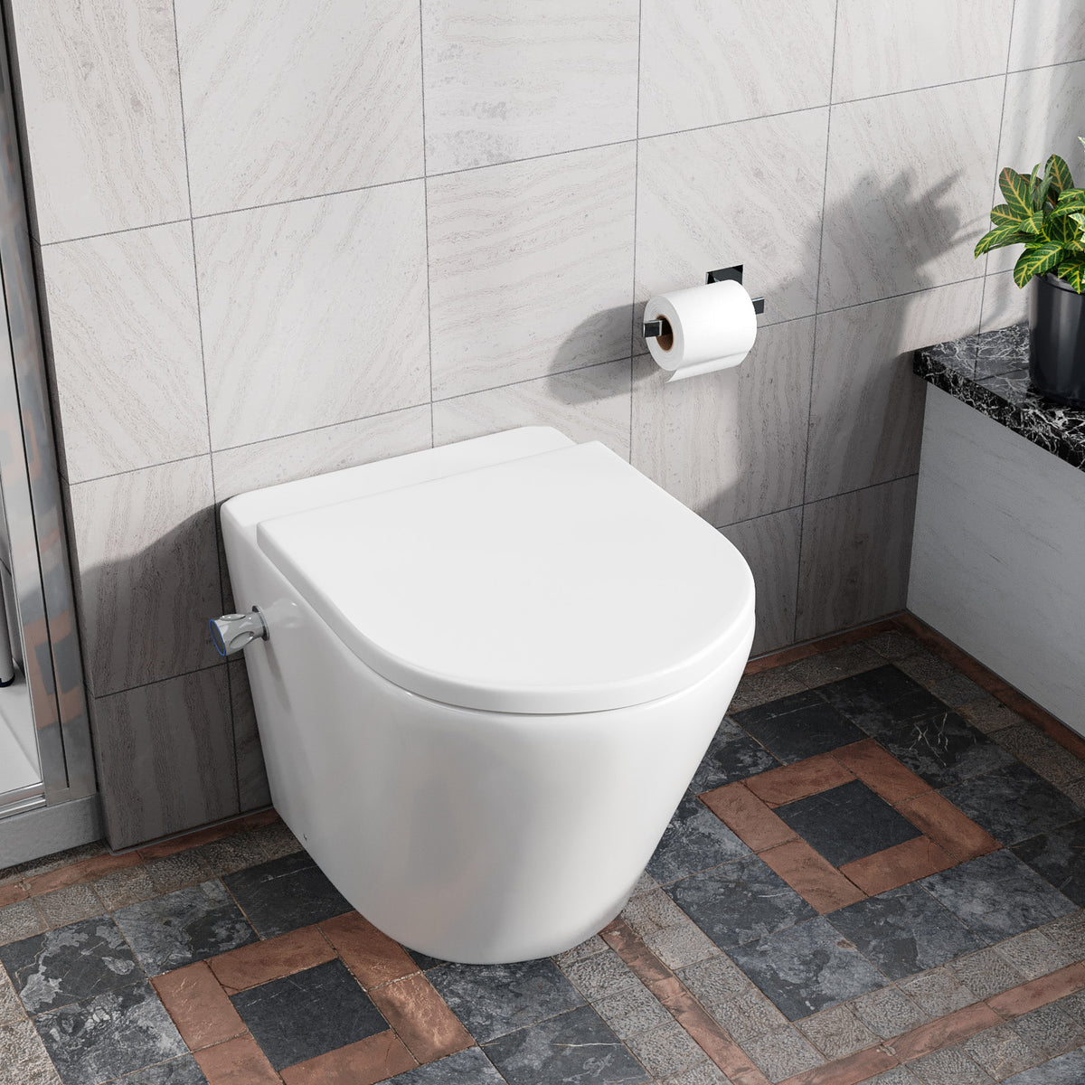 Rimless D Shaped Back To Wall Toilet With Integrated Bidet