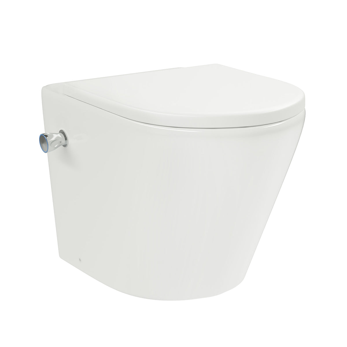 Rimless D Shaped Back To Wall Toilet With Integrated Bidet