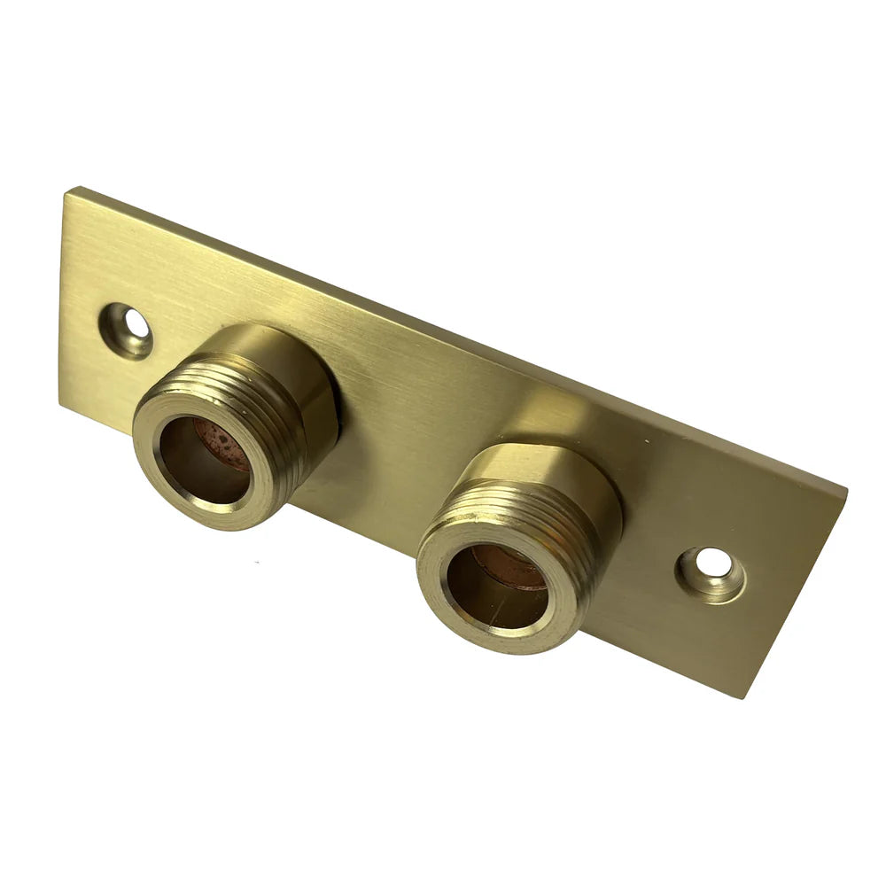 Rowde Brushed Brass Bidet Douche Mini Thermostatic Bar Valve & Spray Kit with Easy Fitting Plate Set