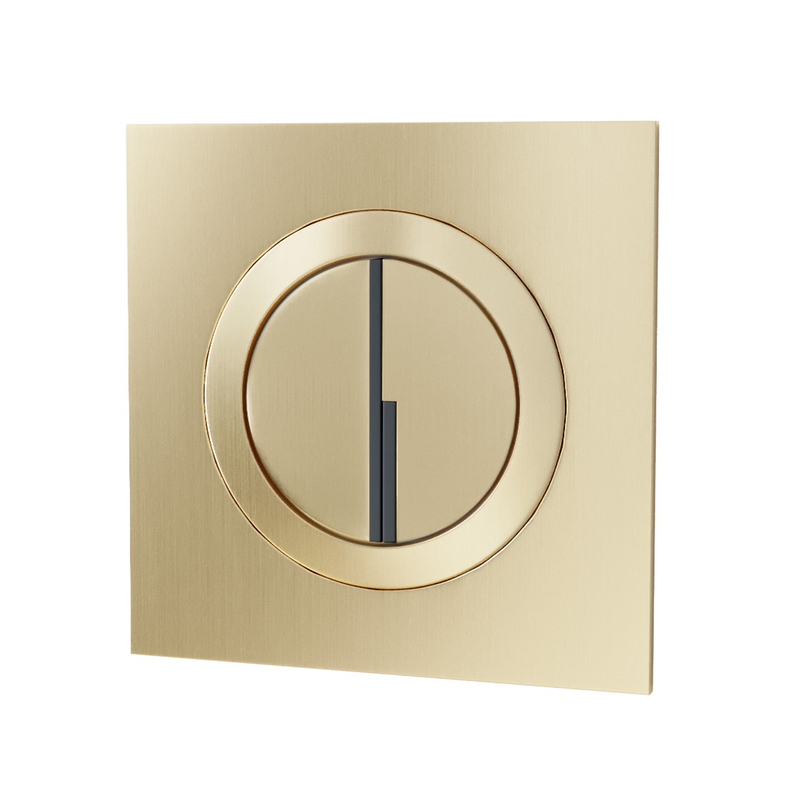 Brushed Brass Round WC Push Button