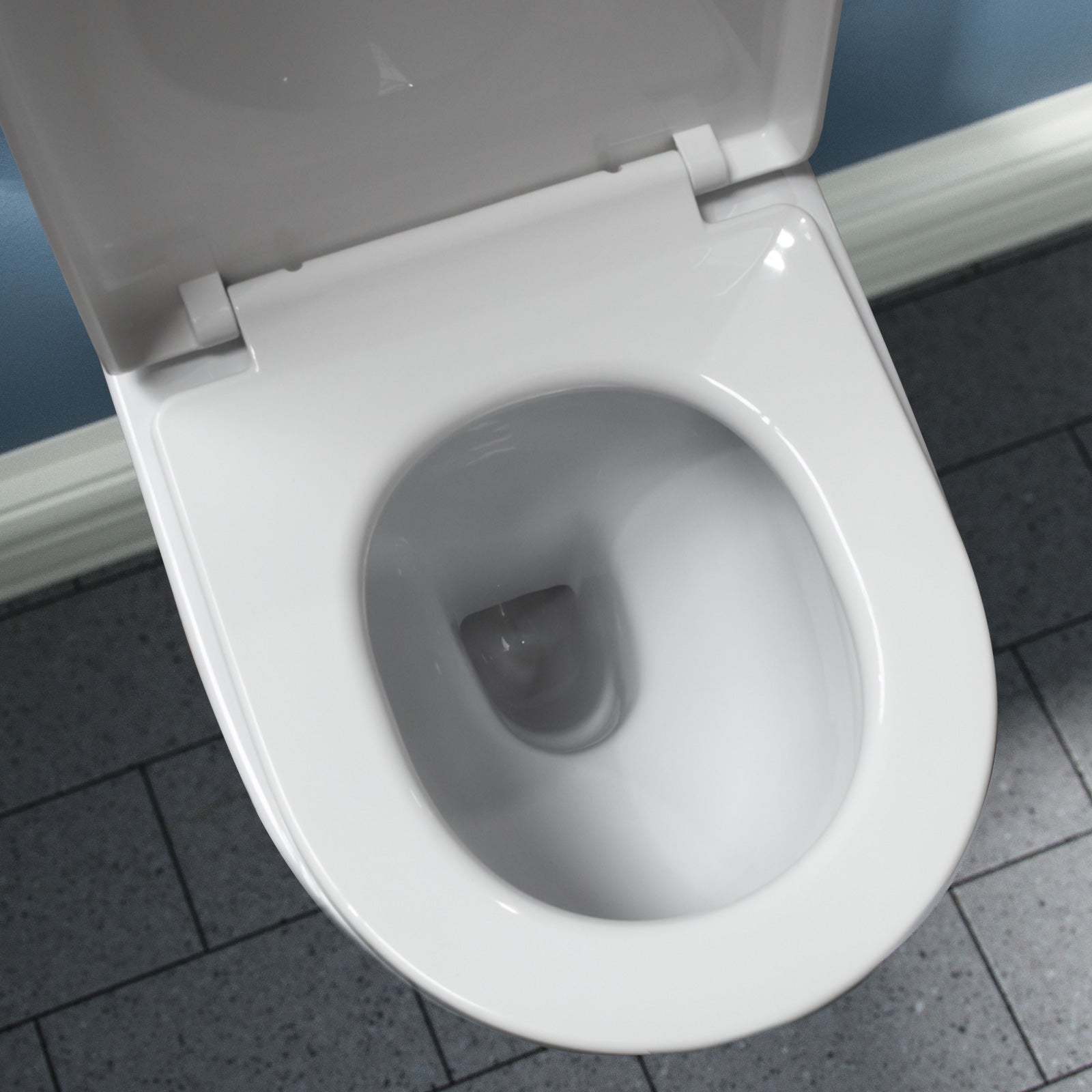 Modern Close Coupled Rimless Round Toilet Ceramic Soft Closing Seat White Oakham