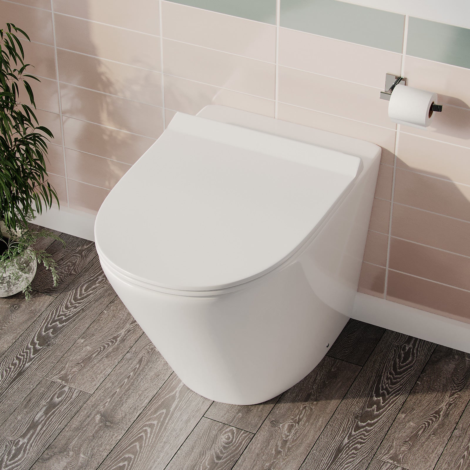 Eddy Modern Cloakroom BTW WC Curved Rimless Toilet and Soft Close Seat