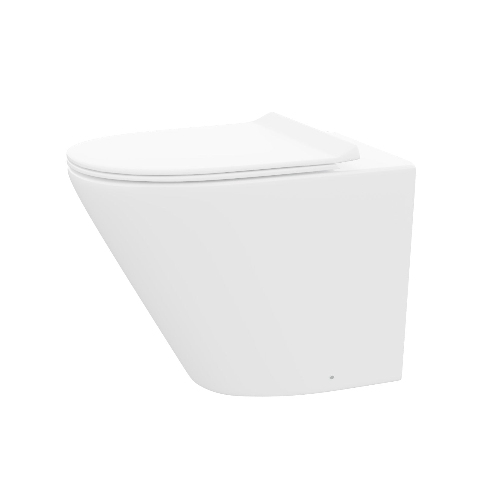 Rimless Round Back To Wall Pan With Soft Close Toilet Seat