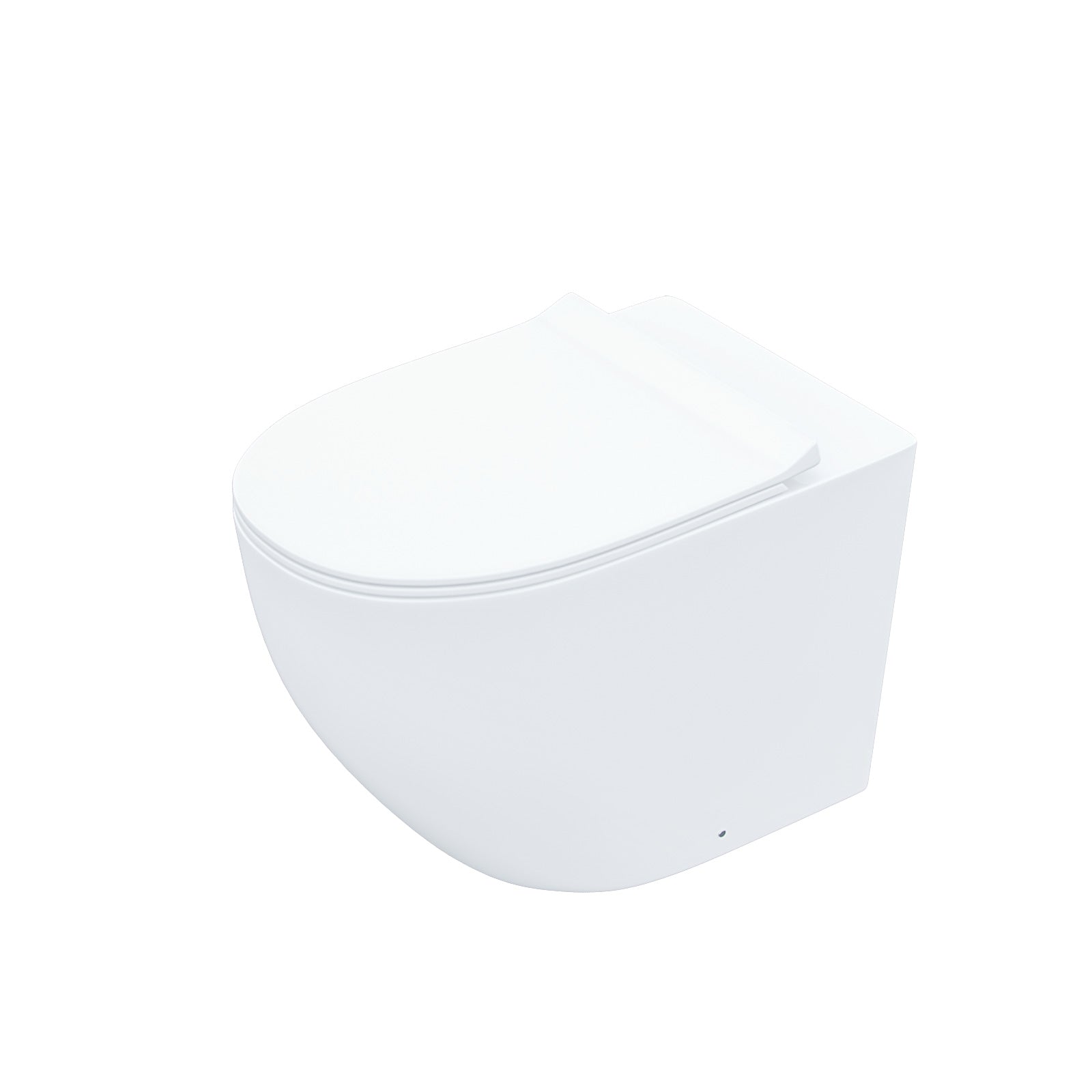 Modern Back To Wall Toilet WC Rimless Designed Pan and Soft Close Seat White