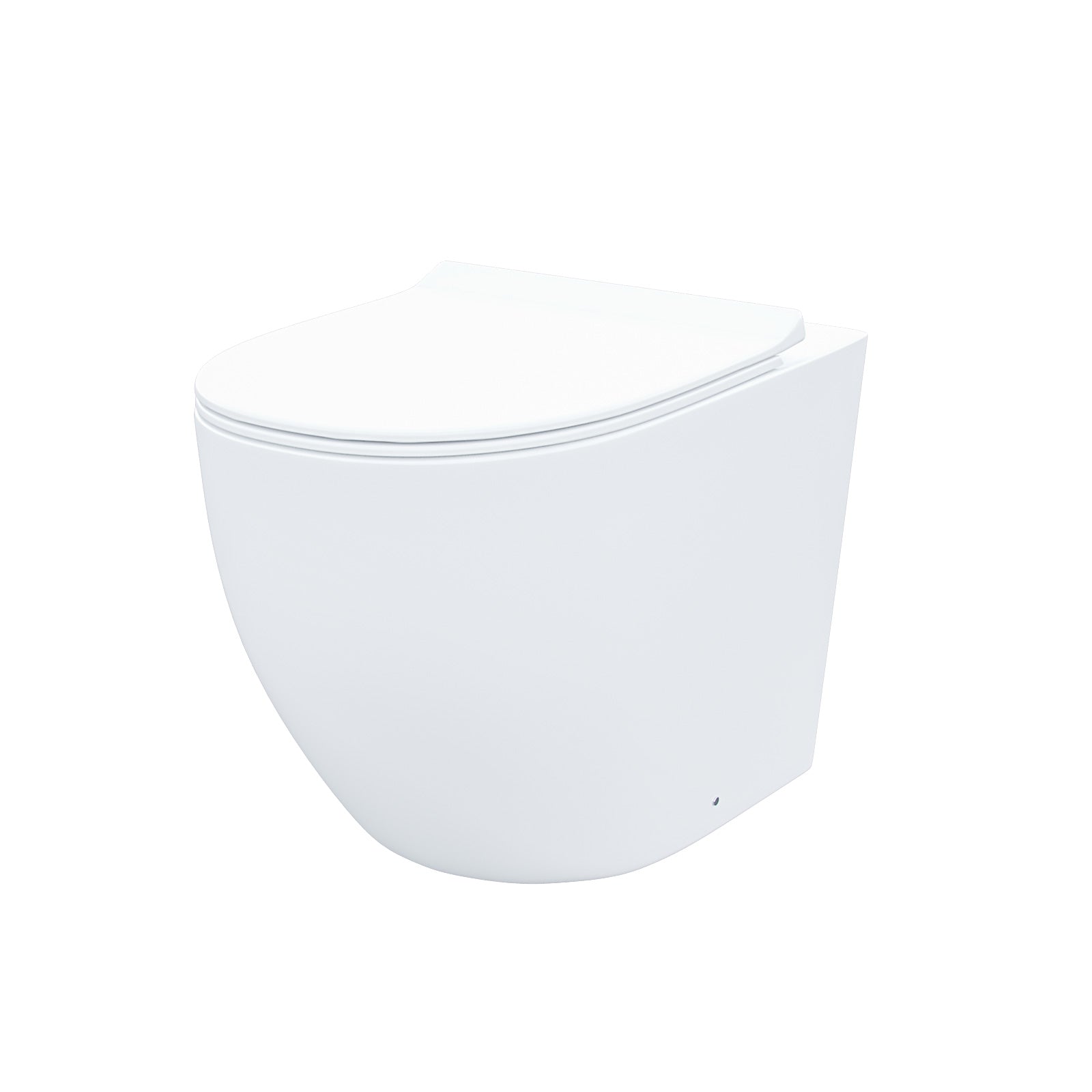 Modern Back To Wall Toilet WC Rimless Designed Pan and Soft Close Seat White