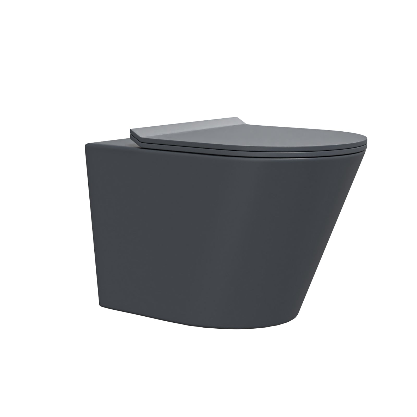 Dark Grey Rimless Round Back to Wall Toilet with Soft Close Seat