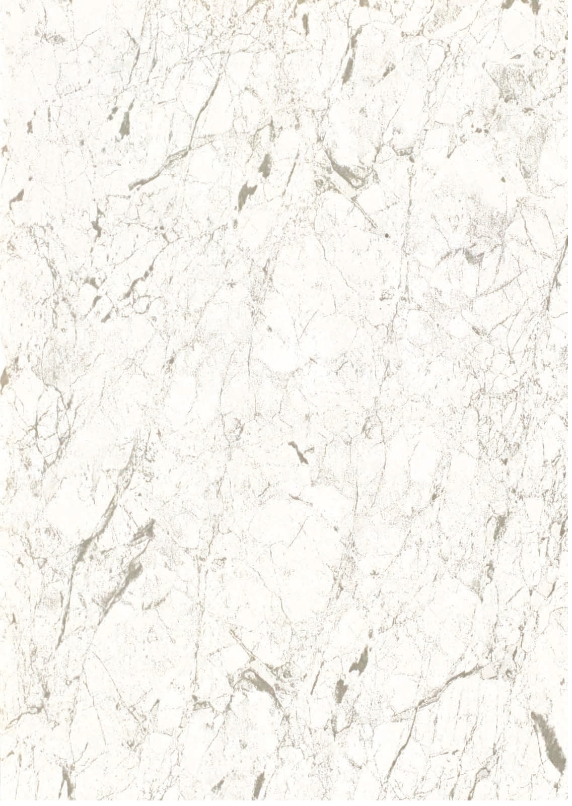 PVC Wall Panel White Granite Cladding 1000mm X 2400mm X 10mm