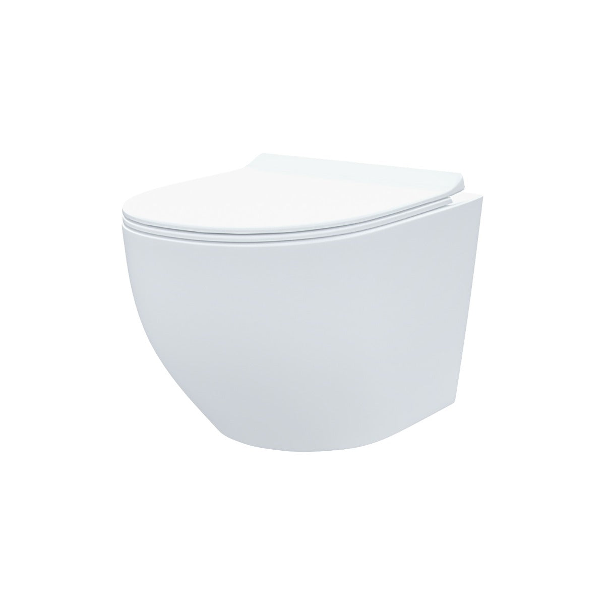 Wall Hung Round Rimless Toilet, Cistern Frame Matte Chrome Button
