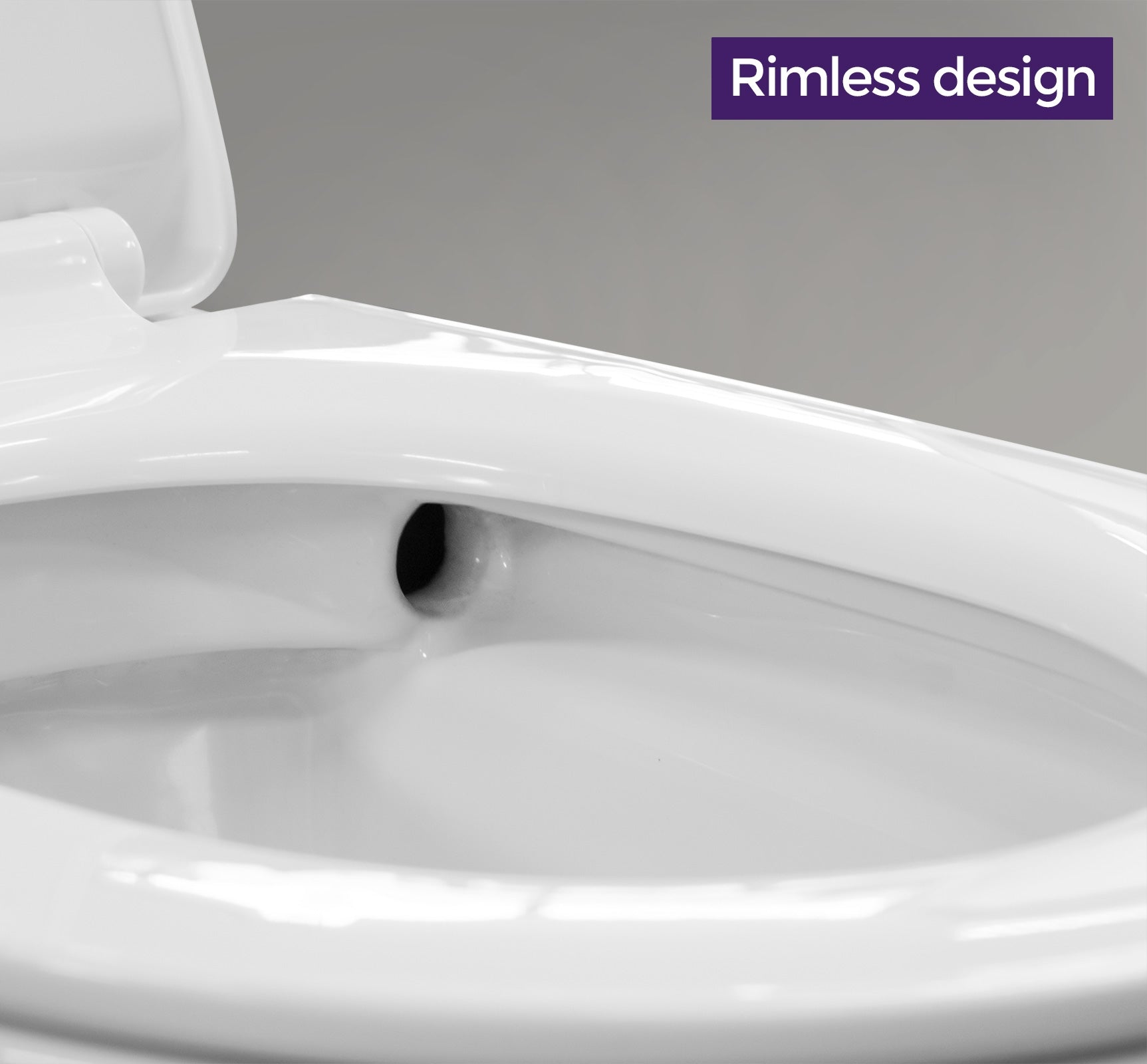 Elliss Rimless Back To Wall Toilet Pan WC and Soft Close Seat White
