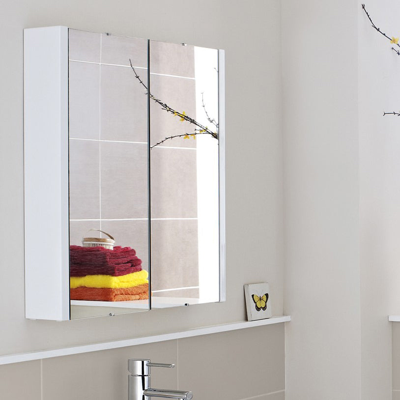 Dunn 600 mm Storage Mirror Cabinet