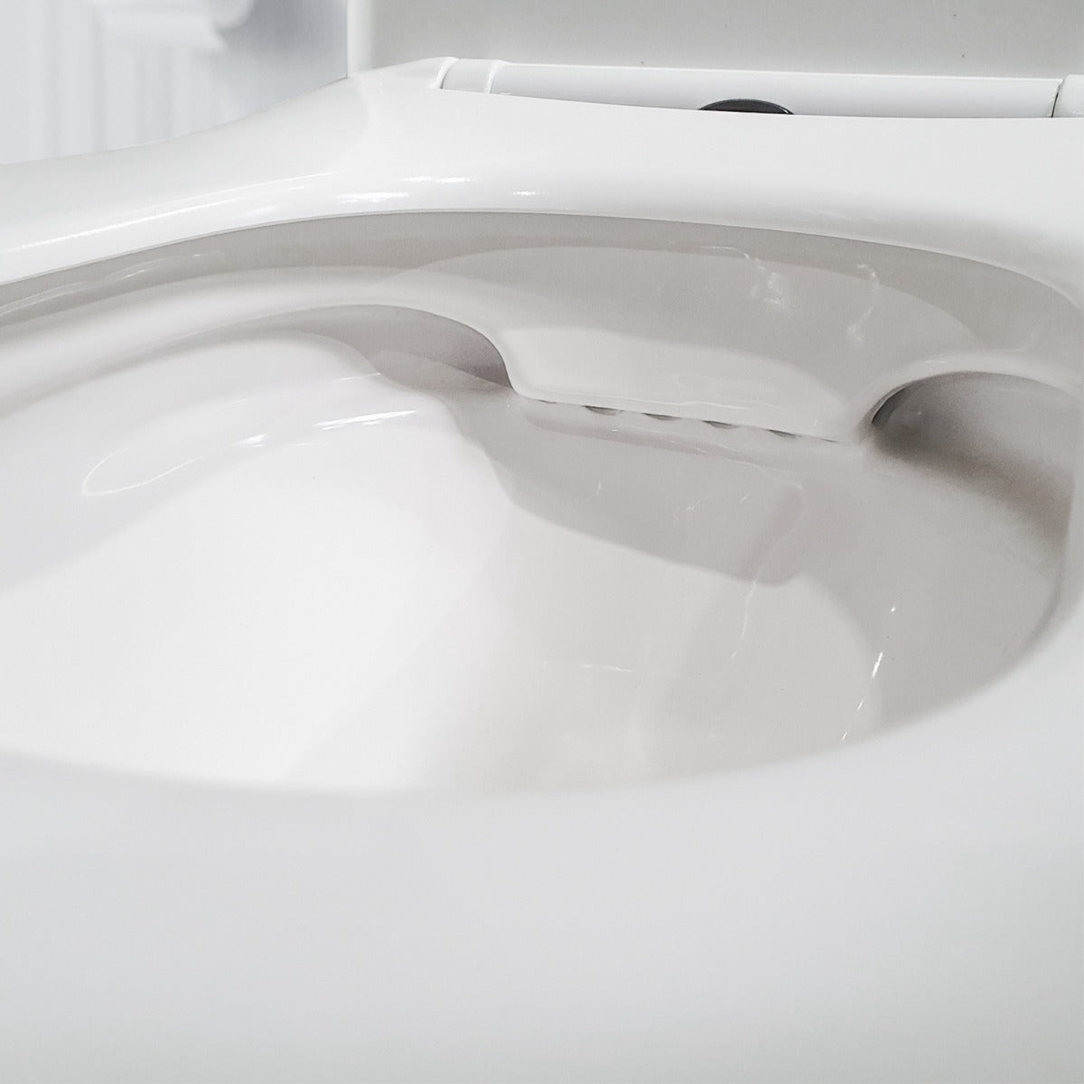 Rimless Back To Wall Toilet Pan with UF Toilet Seat